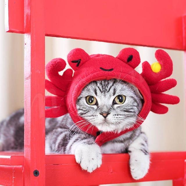 猫用 犬用 変身帽子 コスチューム おしゃれ コスプレ アクセサリー 調節可能 面白い 萌え 可愛い カニの通販はau Pay マーケット ｓｕｎｆｌｏｗｅｒ