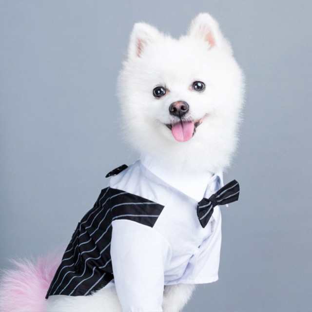 ペット服 犬服 フォームスーツ 結婚式 タキシード ジャケット コート 披露宴 パーティー 犬服 ドッグウェア ペット洋服 男の子 小型犬 記の通販はau Pay マーケット ブリッジブリッジ