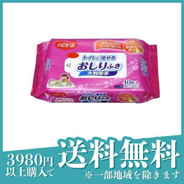 ハビナース トイレに流せる おしりふき大判厚手 40枚 - 清拭・洗浄介助