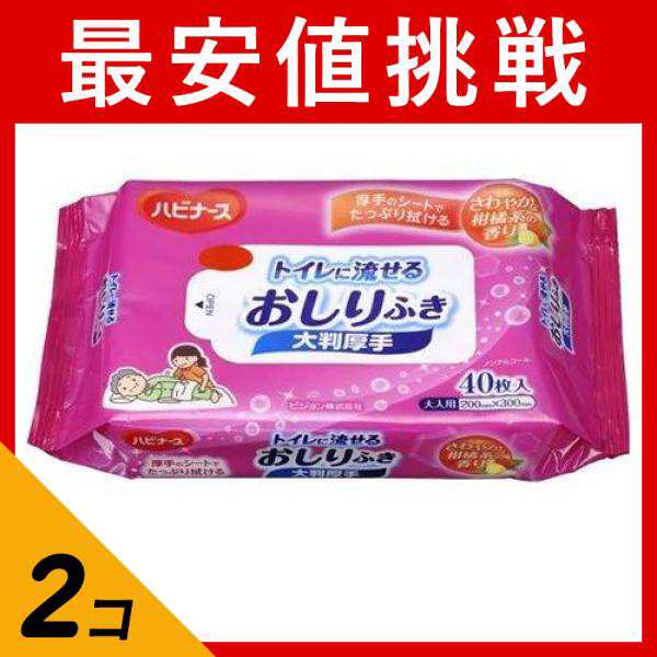 2個セットハビナース トイレに流せる おしりふき大判厚手 40枚 - 清拭