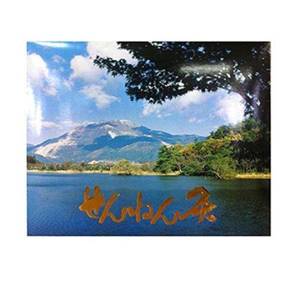 せんねん灸 伊吹 2000点入 業務用