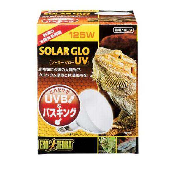 送料無料・邑楽ファーム】フトアゴサンド 2L/16袋セット 送料無料・邑楽ファーム】フトアゴサンド 2L/16袋セット