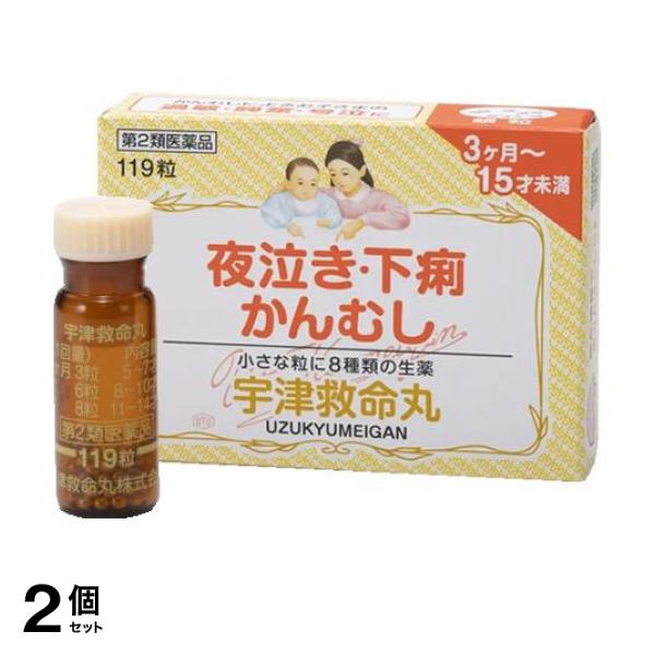 【第２類医薬品】2個セット クーポン有 宇津救命丸〈銀粒〉 119粒(定形外郵便での配送)