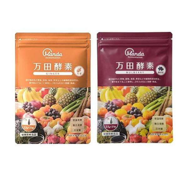 クーポン有 万田酵素 GINGER(ジンジャー)＆MULBERRY(マルベリー)  ペースト(分包)タイプ 2.5g× 31包