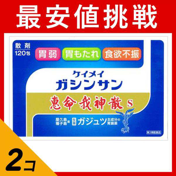 第２類医薬品 2個セット 恵命我神散 S 散剤タイプ 120包 胃薬 食欲不振 消化不良