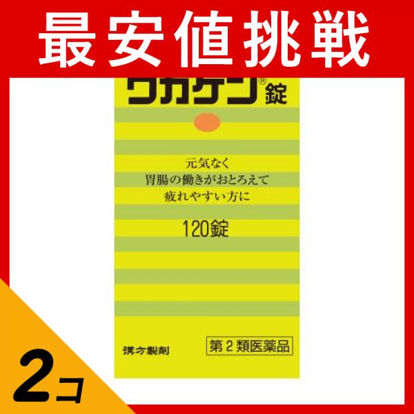 第２類医薬品 2個セット ワカゲン錠 120錠の通販は 5,007円