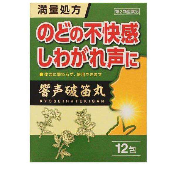 第２類医薬品ジェーピーエス製薬 響声破笛丸エキス顆粒G 12包