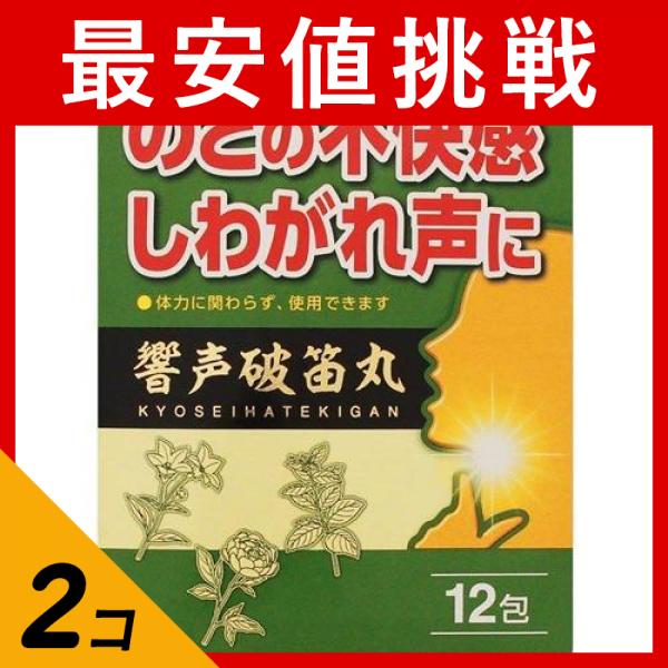 【第２類医薬品】2個セット クーポン有 ジェーピーエス製薬 響声破笛丸エキス顆粒G 12包