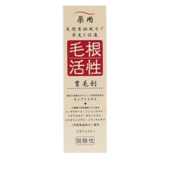 ハツモール 薬用スカルプシャンプーEX 500mL 5個セット | 田村治照堂 ハツモール 薬用スカルプシャンプーEX 500mL