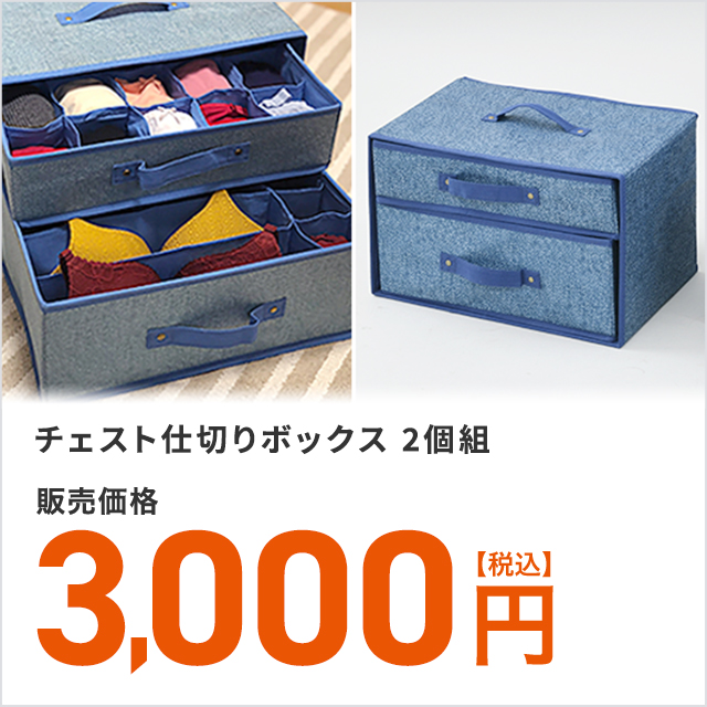収納 小物 チェスト チェスト仕切りボックス2個組 引き出し クローゼット 見せる 仕切 衣類 服 タンスの通販はau Pay マーケット Au Pay マーケット ダイレクトストア