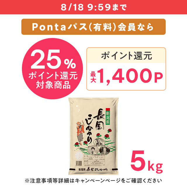 【ポイント増量中】 お米 新潟県 長岡産 コシヒカリ 精白米 5kg 令和6年産 / ブランド米 米 国内産 新潟産