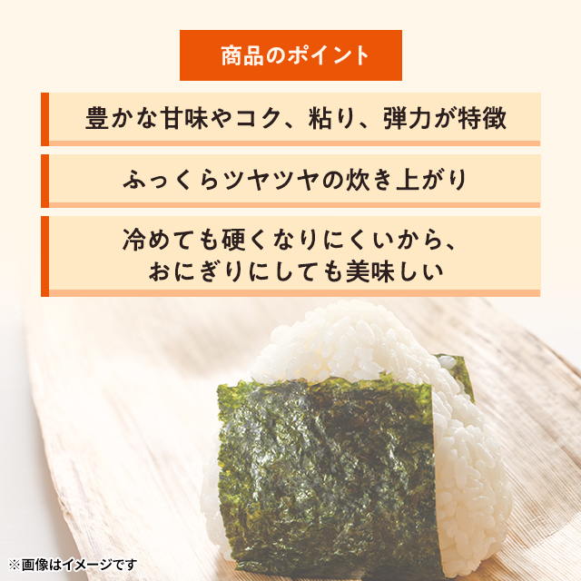 お米 新潟県産 新之助 精白米 10kg（5kg×2袋） 令和6年産