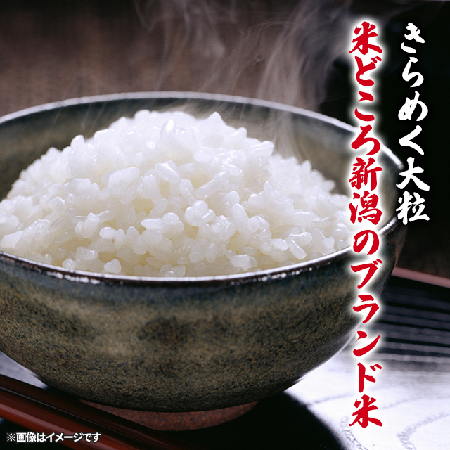 白米 5kg×2袋　10kg 米 10kg 令和6年 新潟産 つきあかり 白米 5kg×2袋 プレゼント