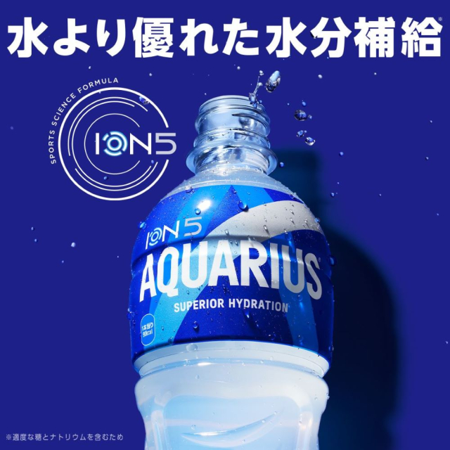 コカ・コーラ スポーツドリンク アクエリアス 500mL×24本（24本×1