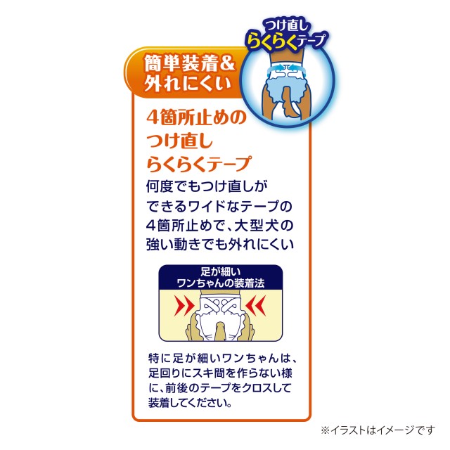 5種類から1種類選択] マナーウェア 長時間オムツ ( 女の子・男の子共用