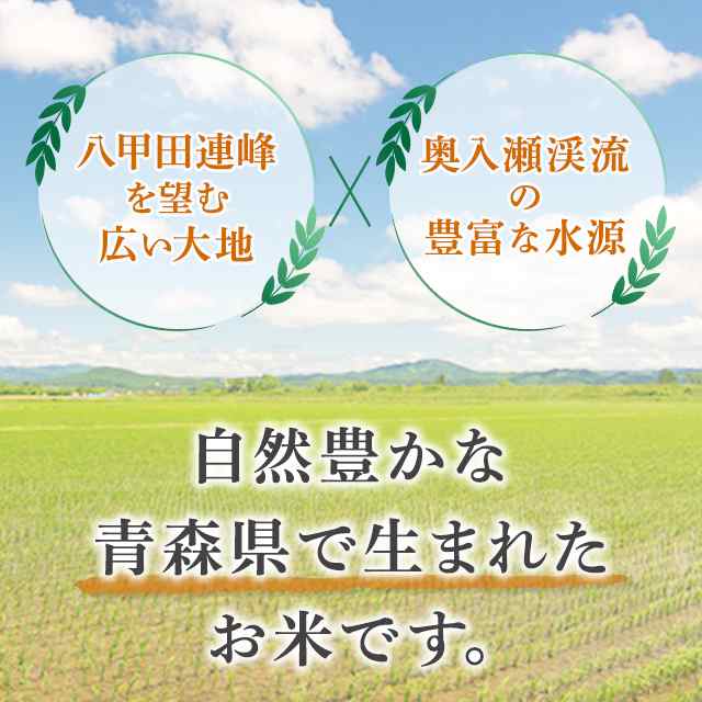 新米 令和4年産 お米 青森県産まっしぐら 精白米 10kg（5kg×2袋） / ブランド米 米 国内産 青森産 の通販はau PAY マーケット -  au PAY マーケット ダイレクトストア