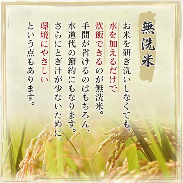 新米！令和５年産千葉県産コシヒカリ10kg