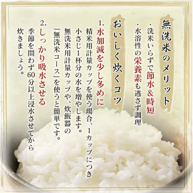 新米 令和5年産 お米 無洗米 千葉県産 コシヒカリ 10kg（5kg×2袋） ブランド米 米 国内産 千葉産の通販はau PAY マーケット  au PAY マーケット ダイレクトストア au PAY マーケット－通販サイト