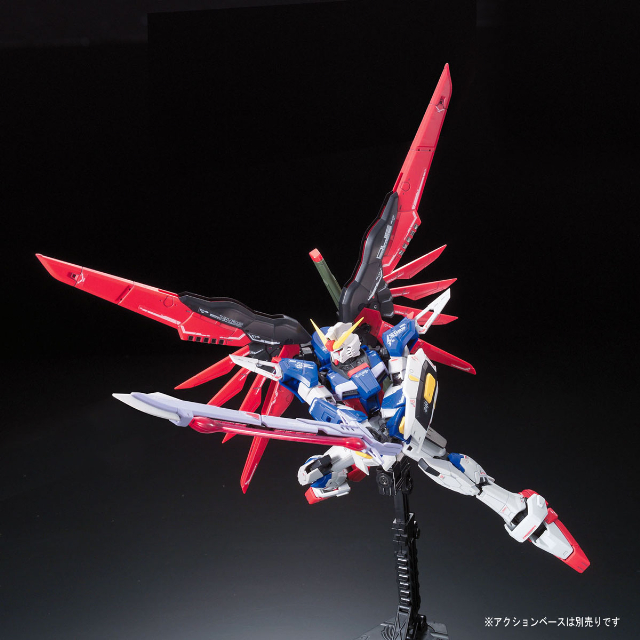 機動戦士ガンダムSEED DESTINY デスティニーガンダム RG リアル