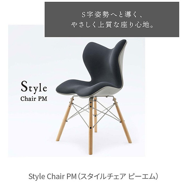 椅子 イス チェア MTG Style Chair PM スタイルチェア ピーエム 健康