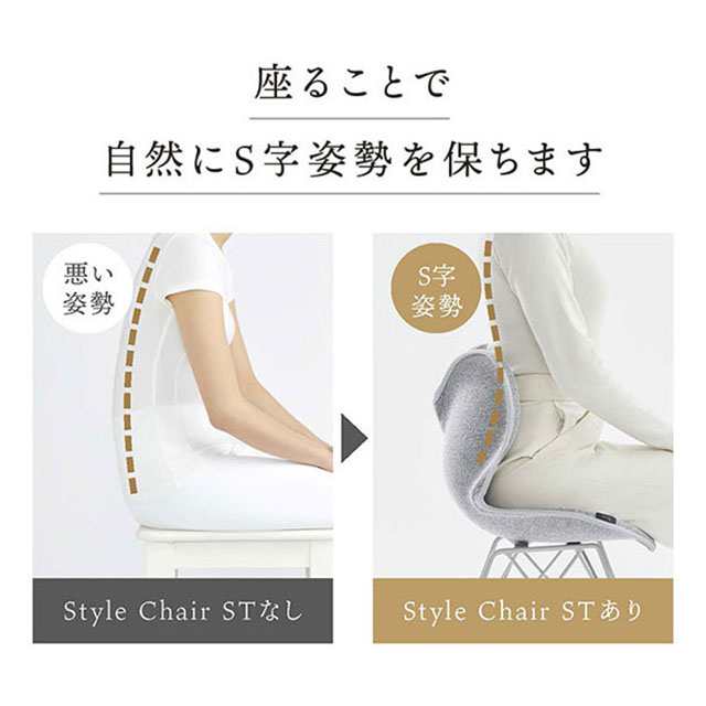 椅子 イス チェア MTG Style Chair ST スタイルチェア エスティー 健康