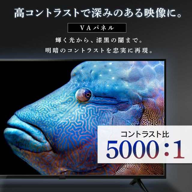 アイリスオーヤマ 50V型 4K対応 液晶テレビ 50UB10P - 千葉県の家具