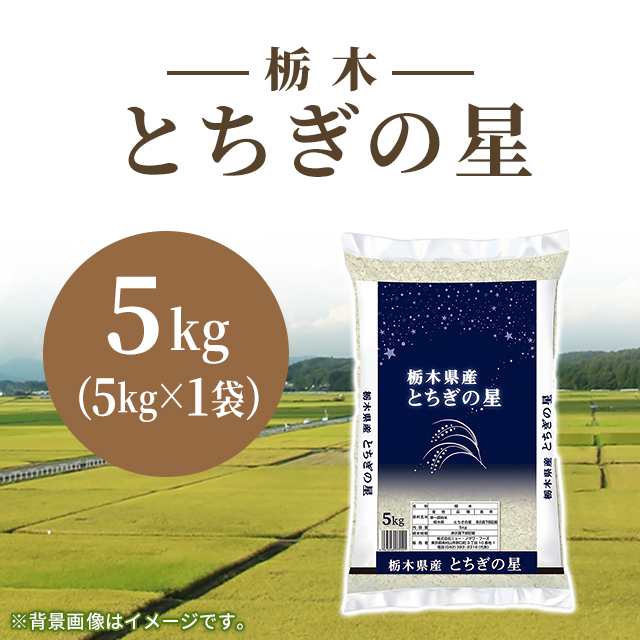 お米 栃木県産 とちぎの星 精白米 5kg（5kg×1袋） 令和6年産