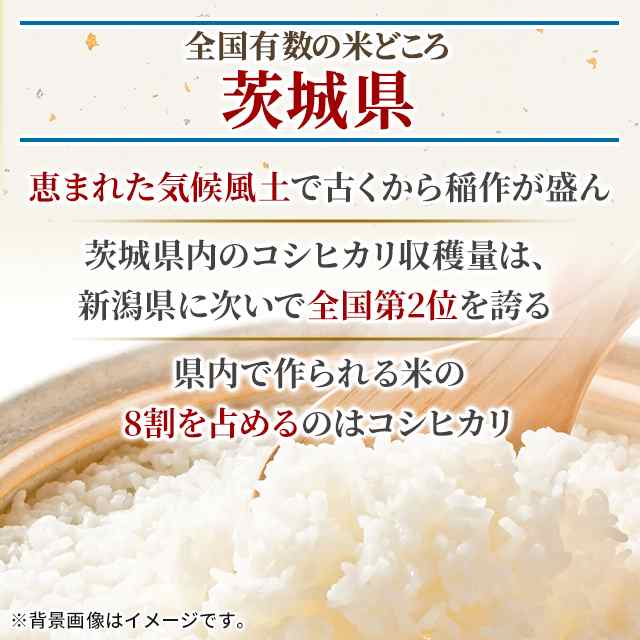 お米 茨城県産 コシヒカリ 無洗米 10kg （5kg×2袋） 令和5年産