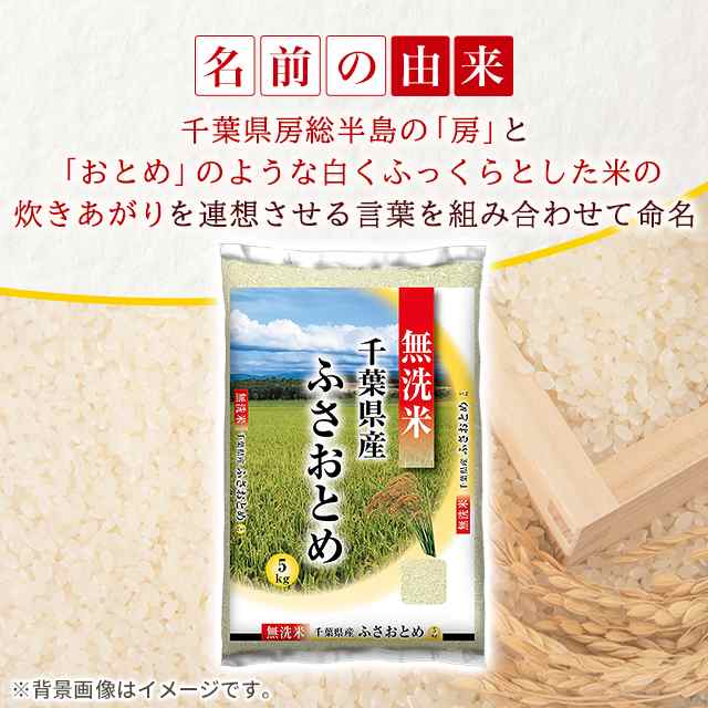 お米 無洗米 千葉県産 ふさおとめ 10kg（5kg×2袋） 令和5年産