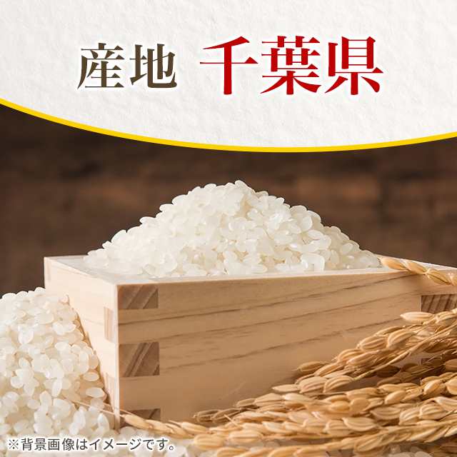 お米 無洗米 千葉県産 ふさおとめ 10kg（5kg×2袋） 令和5年産 