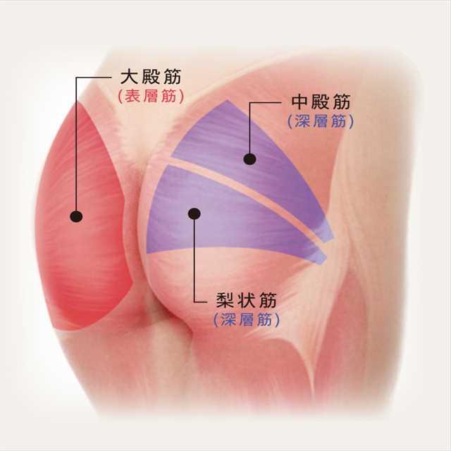 ルルド プレミアムシートマッサージャー AX-HPL368 アテックスの通販は