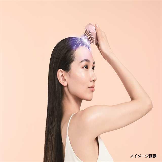 ルルドボーテ EMSリフトブラシ エステ 美顔器 EMS 顔頭皮全身 LED防水 nbl506_sp_1_2023_02.jpg