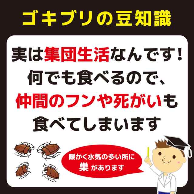 コンバット ゴキブリ 殺虫剤 玄関・ベランダ用 1年用 6個 防除用医薬部