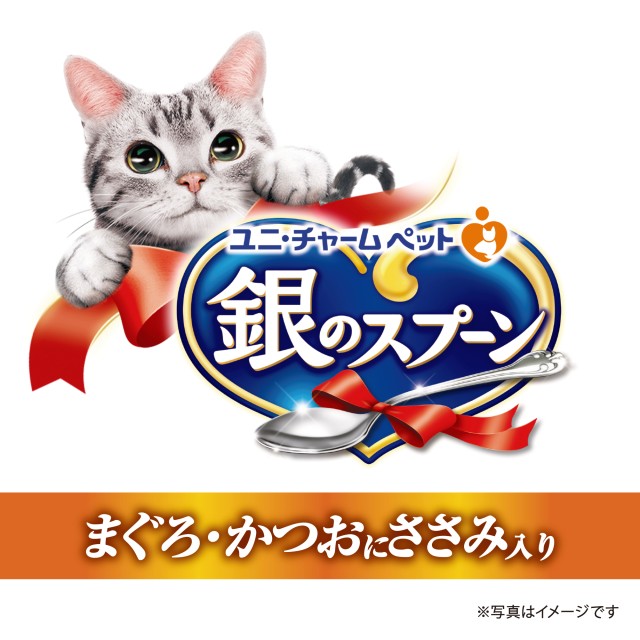 3種類から1セット選択] キャットフード 銀のスプーン缶 48個入