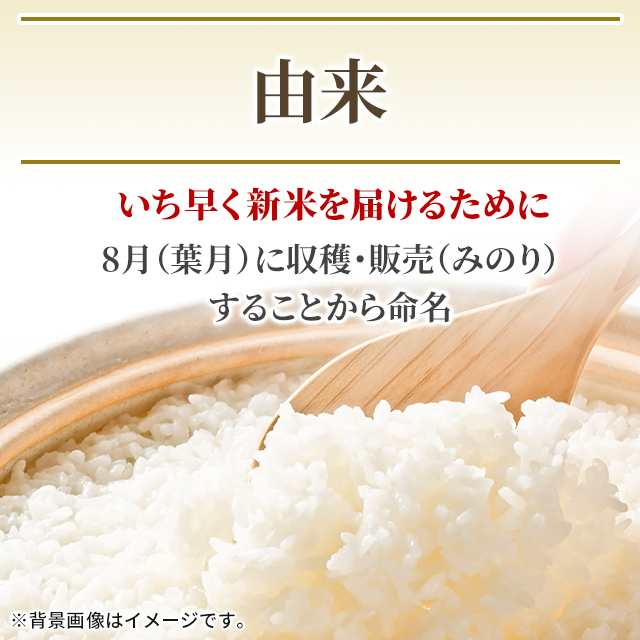 新米 お米 新潟産 葉月みのり 5kg 令和5年産 / 5年産 5年産新米 国内産