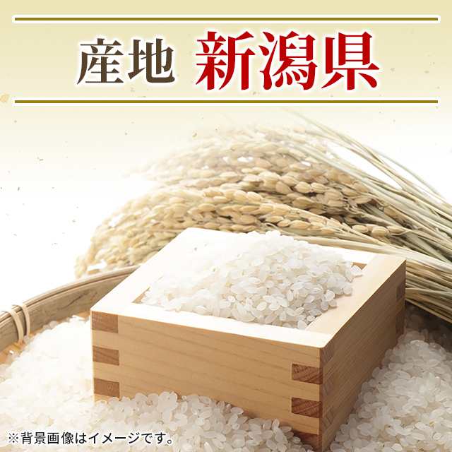 新米 お米 新潟産 葉月みのり 5kg 令和5年産 / 5年産 5年産新米 国内産