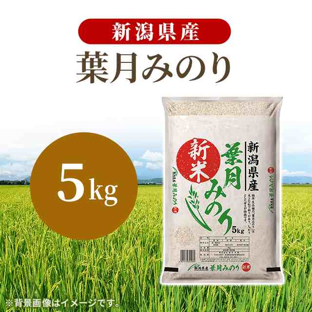 令和5.年産棚田育ちのヒヨクモチ20kg 新米 - 米