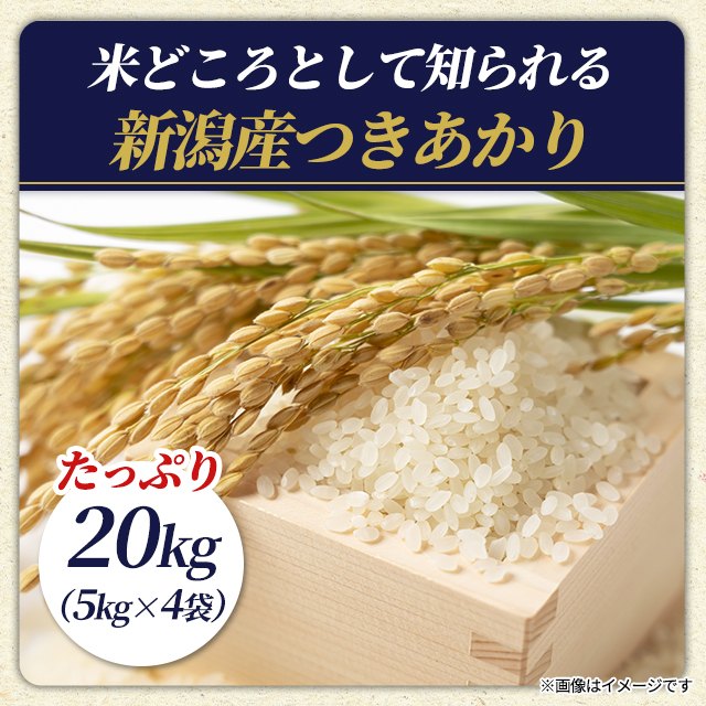 お米 新潟県つきあかり 20kg (5kg×4袋) 精白米 令和7年産 / ブランド米 米 国産 新潟県産 つきあかり_1