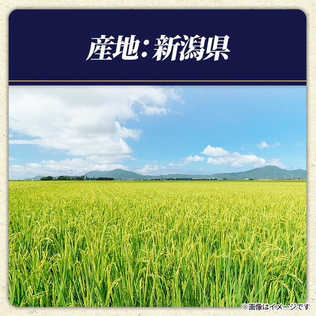 お米 新潟県つきあかり 20kg (5kg×4袋) 精白米 令和7年産 / ブランド米 米 国産 新潟県産 つきあかり_3