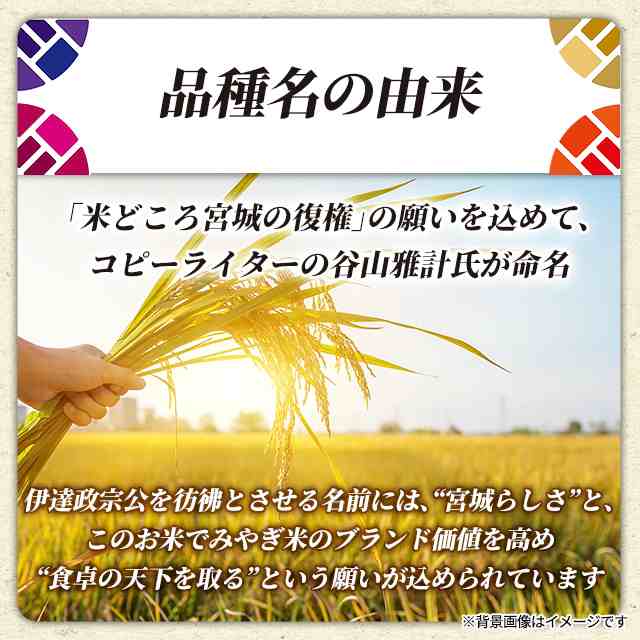 宮城県産　だて政夢　白米　5kg　令和6年産　令和7年5月初旬精米 全国送料無料 お米 宮城県産 だて正夢 白米 5kg 令和6年産 / ブランド米 米