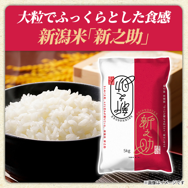 食品 新之助 5kg×4袋 計20kg LTSさん専用