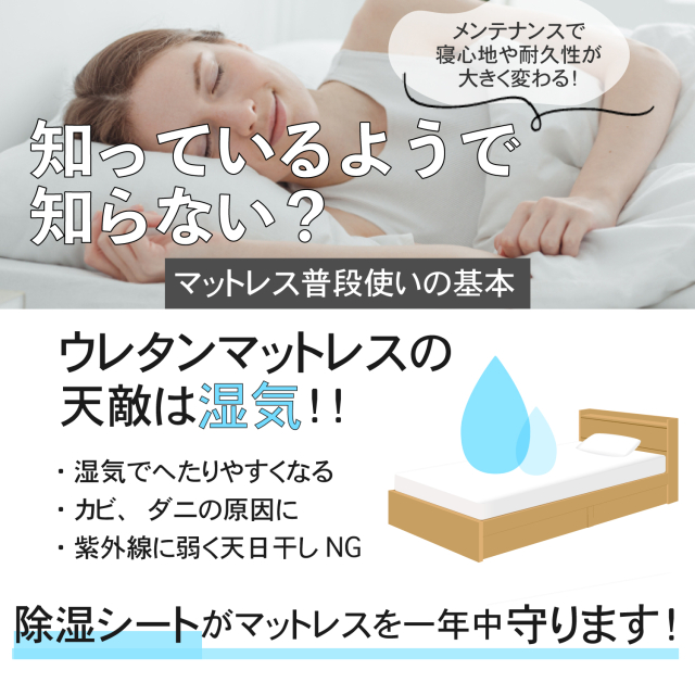 西川 除湿シート&リバーシブル敷きパッド 2セット 除湿シート｜ベッドパッド｜敷きパッド｜敷きパッド・ベッド