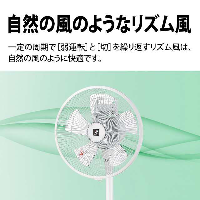 シャープ プラズマクラスター扇風機 PJ-R3AS-W リビングファン ACモーター 風量3段切替 衣類消臭 高濃度プラズマクラスター7000 扇風機の通販はau  PAY マーケット - au PAY マーケット ダイレクトストア | au PAY マーケット－通販サイト