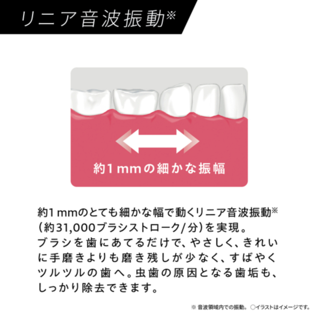 パナソニック 音波振動ハブラシ ドルツ EW-DA48_5