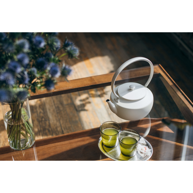 バルミューダ ムーンケトル BALMUDA Moon Kettle KPT02JP 電気