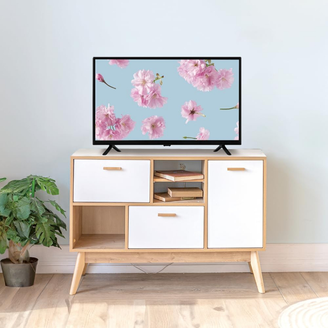 ORION 24V型 ハイビジョン液晶テレビ OL24CD500C ドウシシャの