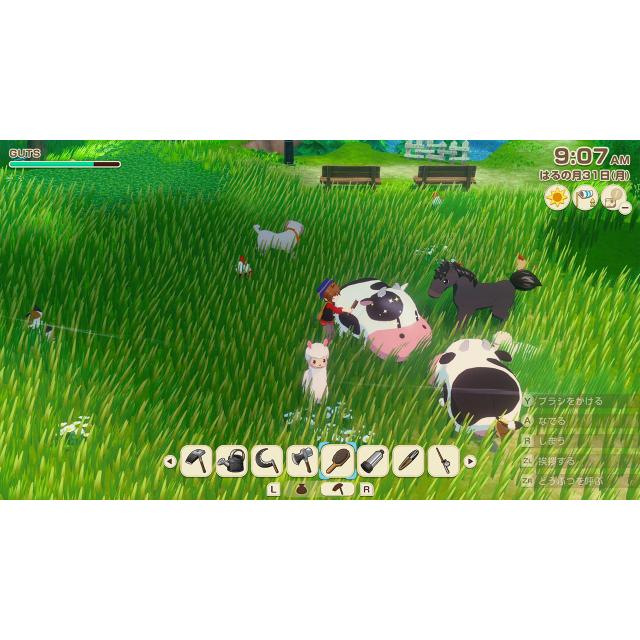 Nintendo Switch 牧場物語 Let's！風のグランドバザール HAC-P-BG4TAの