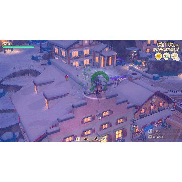 Nintendo Switch 牧場物語 Let's！風のグランドバザール HAC-P