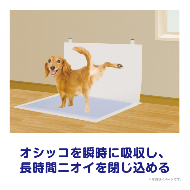 【ケース販売】デオシート足上げワンちゃん用壁貼りガード ワイド30枚×6袋セット_3