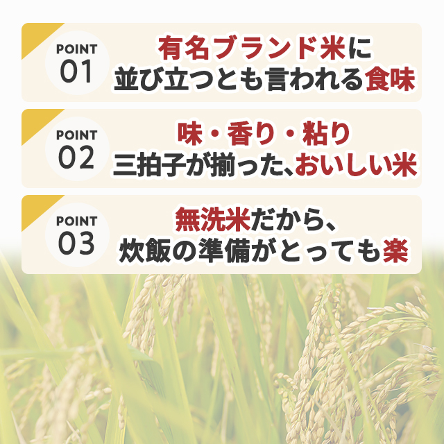 お米 令和7年産 新潟産ひとめぼれ 10kg（5kg×2袋） 無洗米 / ブランド米 米 国内産_3